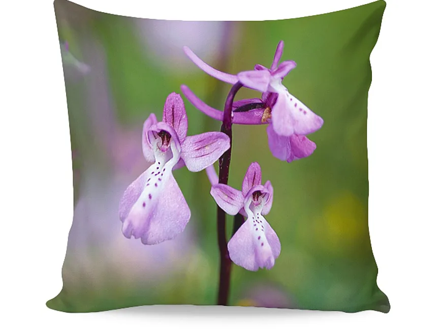 Dekorační povlak Light Orchid
